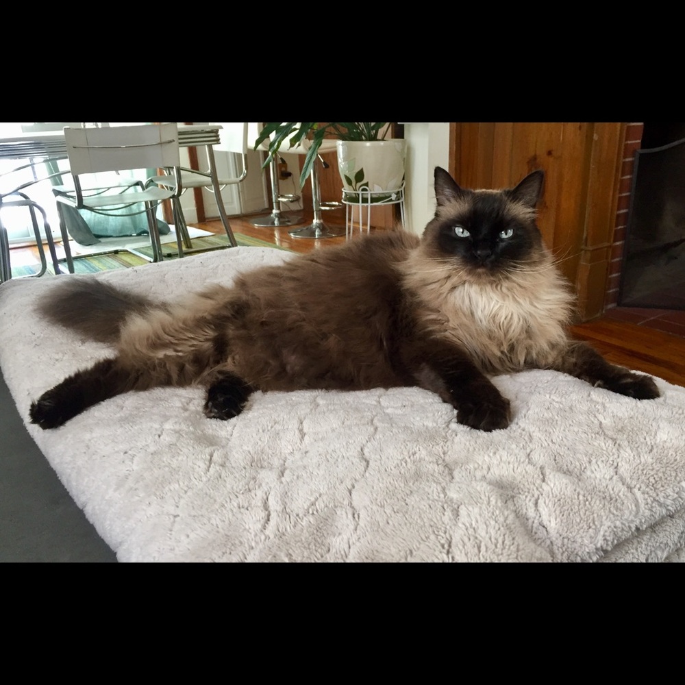 Meet your Posher, Meka